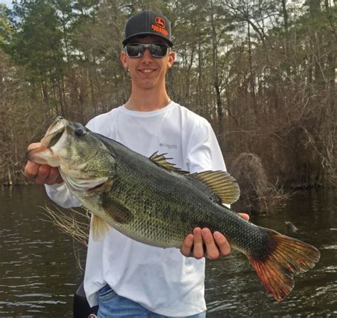Video Shows Toledo Bend 8 Pound Bass Being Netted