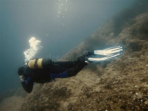 Diver Underwater Underwater Scuba Dive Stock Image Image Of Diver