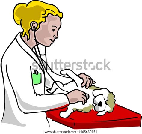 Doctor Provides First Aid Dog Doctor Stock Vector Royalty Free