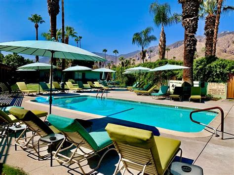Highly Recommended Gay Clothing Optional Resort In Palm Springs Review Of Vista Grande Resort