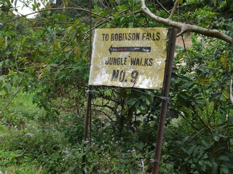 10 is a bit of a step up from the easy robinson falls walk, but it's still well marked, easy to follow, and will take you around 2 hours to complete. Cameron Highlands Trail No. 9 (Tanah Rata) - 2021 All You ...
