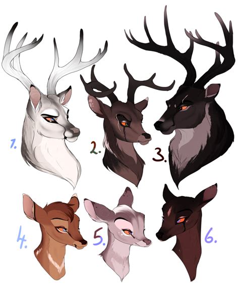 Deer Designs Inspiring And Unique Animal Drawings