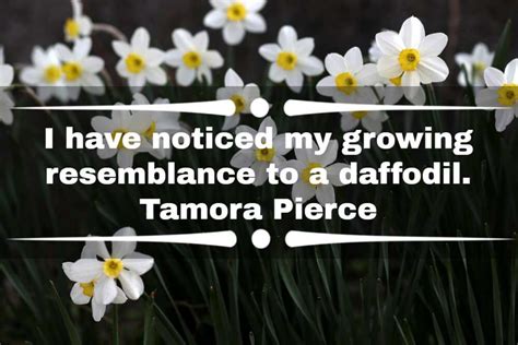 30 Inspiring Daffodil Quotes To Keep You Motivated And Going Forward