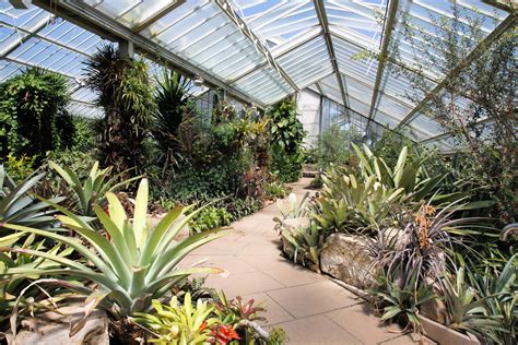 Inside A Greenhouse At Kew Gardens Rpics