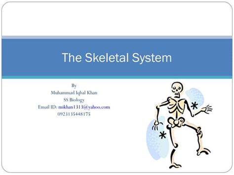 Interactive Powerpoint Skeletal System