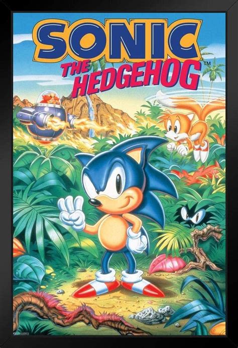 Buy Pyramid America Sonic The Hedgehog Sonic 3 Box Art Sega Video Game
