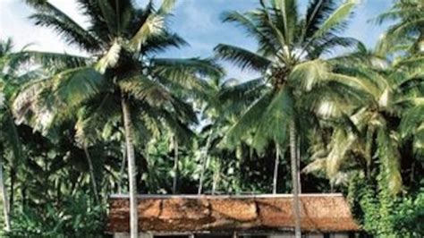 World Class Solomon Islands Wilderness Lodge