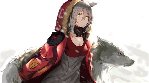 Anime Girl Wolf Projekt Red Arknights 4k 6530 Wallpaper