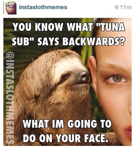 1000 Images About Sloth Meme On Pinterest Creepy Sloth Laughing And Memes