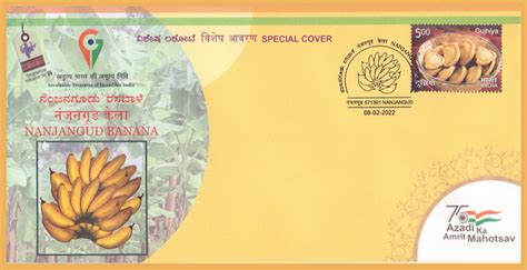 Mbs Stamps Of India Nanjangud Banana