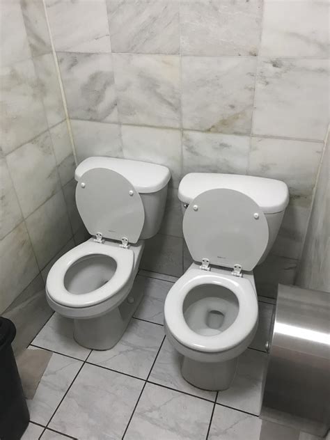What Are The 2 Types Of Toilets Best Design Idea