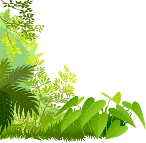 Jungle Png Images Transparent Background Png Play