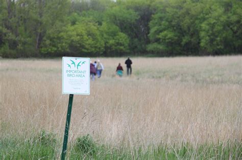 Fargo Birding Festival Audubon Dakota