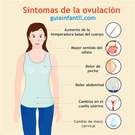 Test De Ovulacion Que Es Oultet Website Save 61 Jlcatjgobmx