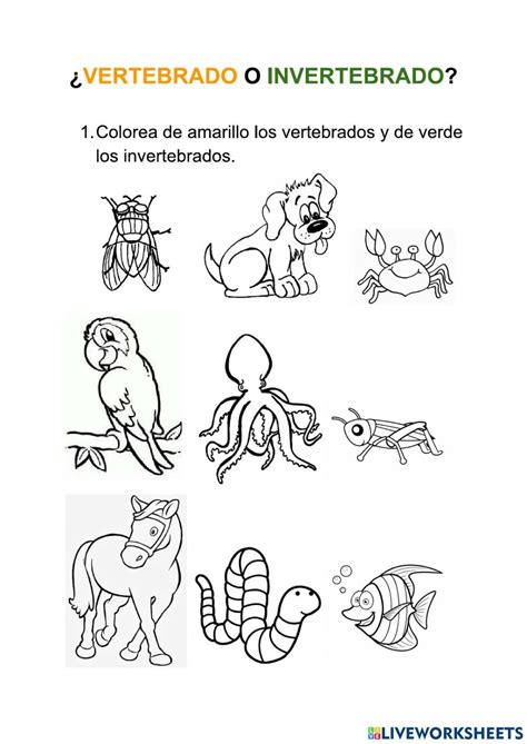 Animales Vertebrados E Invertebrados Ciencias Natural - vrogue.co