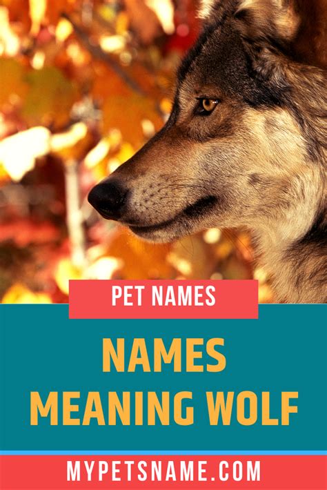 The most authentic and reliable website random (without selection) good fortune beauty nature flower zen/bushido emperor manga/anime pet/animal. Names Meaning Wolf | Names that mean wolf, Pet names ...