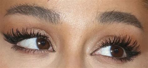 Ariana Grande Eyes Eyelashes Eyebrows