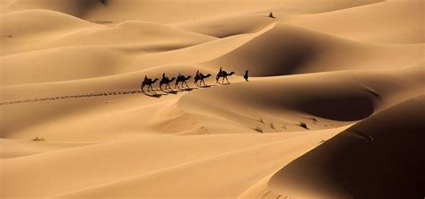 The Sahara Desert Experience