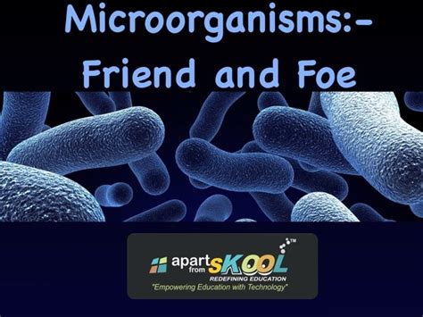Microorganisms Friend And Foe Free Activities Online For Kids In 8th