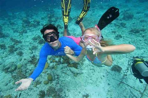Snorkeling Guide And Snorkel Boat Trips With Ocean Encounters