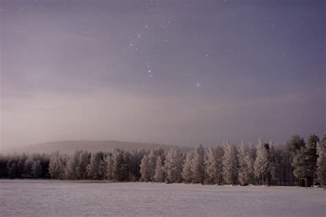 Images Gratuites Forêt Neige Hiver Ciel Nuit Matin étoile Aube