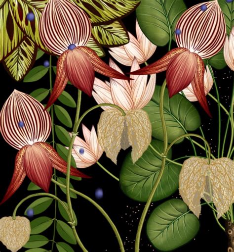Katie Scott Commissions Arte Floral Motif Floral Floral Art