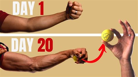How To Get Your Veins To Show Get Vascular Arms In Less Than 20 Days