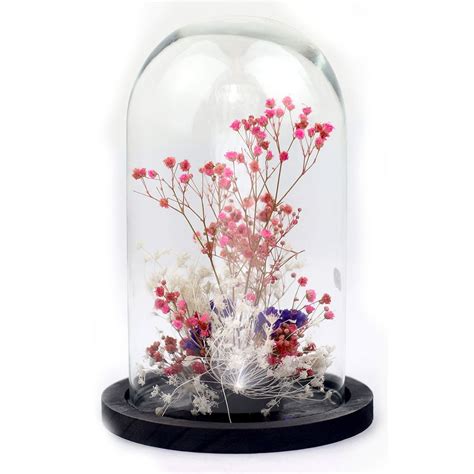 Adelaide Avril Glass Dome Preserved And Dry Flowers Pink Trouva