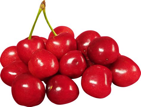 Hq Cherry Png Transparent Cherrypng Images Pluspng