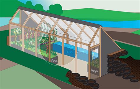 The Greenhouse Of The Future A Step By Step Builders Guide
