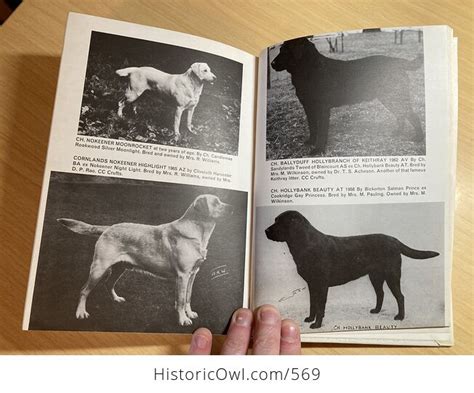 This Is The Labrador Retriever Book By Dorothy Howe C1972 Wei0tjimyz4