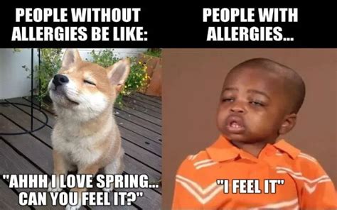 People Without Allergies Meme Allergypreventions Allergy Preventions
