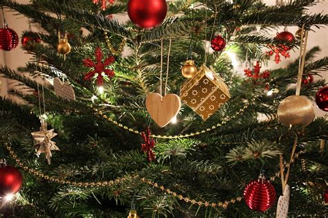 christmas tree tradition history decorations full detail