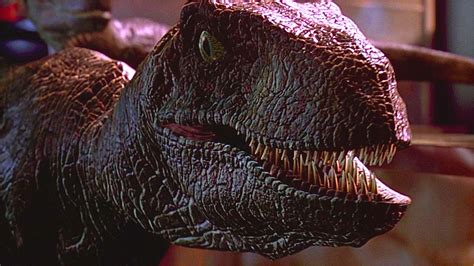 Jurassic Park S Velociraptors Are Completely Wrong According To Scienc