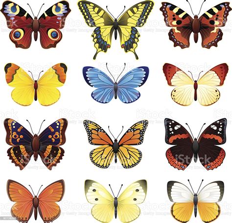 A Set Of Different Colored Butterflies Stock Illustration