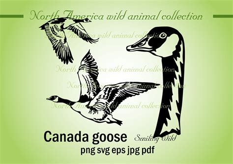 Canada Goose Svg Clipart Vector Graphic Art Artwork Canada Etsy Canada