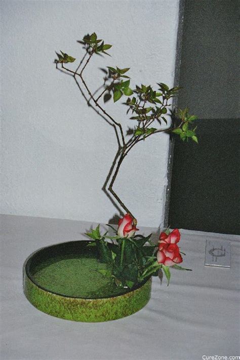 Ikebana Traditional Japanese Art On Curezone Image Gallery