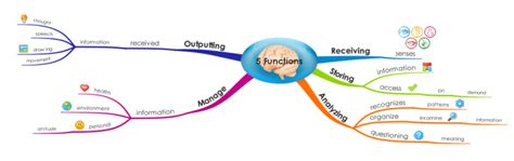 Five Functions Of The Brain Imindmap Mind Map Template Biggerplate