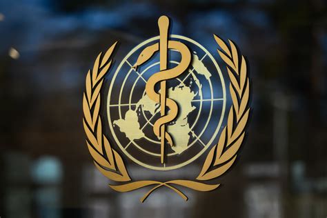 A Brief History Of The World Health Organization Citi Io