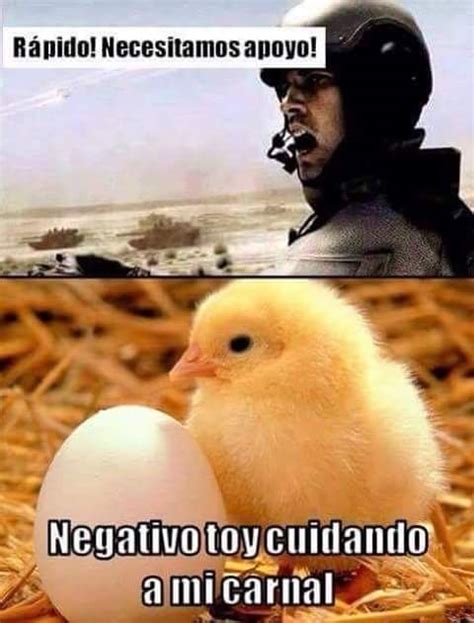 A Pollo Ja Chistes Graciosos Memes Memes Divertidos