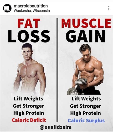 Best Way To Gain Muscle And Lose Fat The W Guide