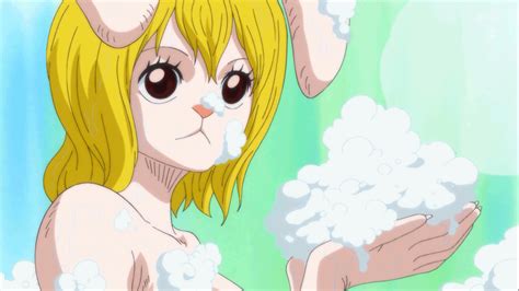 Carrot One Piece By Vipernus Anime D Anime Comics Kawaii Anime Anime Stuff Anime Girls