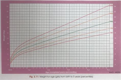 Child Age Weight Chart