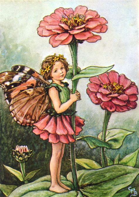 Flower Fairy Flower Fairies Cicely Mary Barker Vintage Fairies