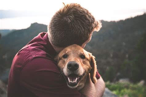 Tips for Making Man’s Best Friend Your Best Adventure Companion - STNGR