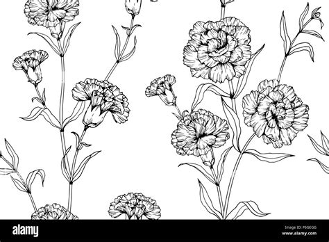 Seamless Carnation flower pattern background. Black and white with