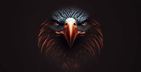 Wallpaper Glowing Beak Eagle Bird Predator Desktop Wallpaper Hd