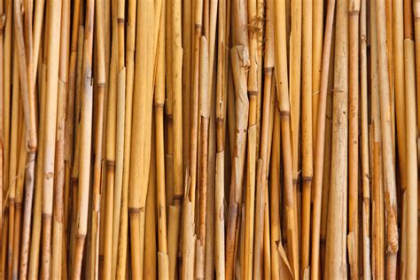 Bamboo Texture The Inner World