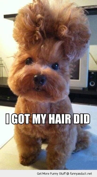 Don't Get Spooked by These Bad Haircuts