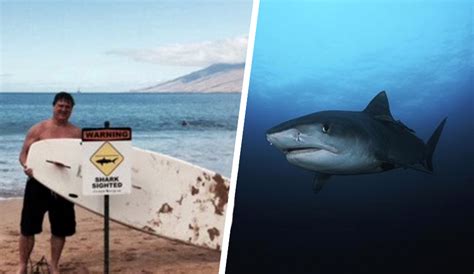 Minnesota Man Punches 14 Foot Tiger Shark While Vacationing On Maui